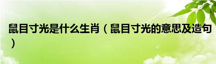 鼠目寸光是什么生肖(鼠目寸光的意思及造句)