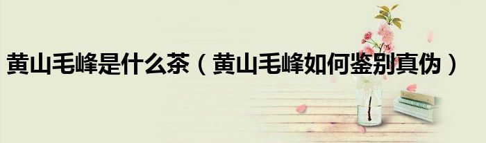 黄山毛峰是什么茶(黄山毛峰如何鉴别真伪)