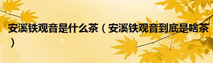 安溪铁观音是什么茶(安溪铁观音到底是啥茶)