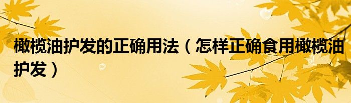 橄榄油护发的正确用法(怎样正确食用橄榄油护发)