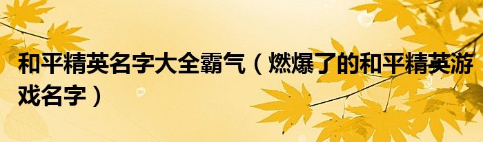 和平精英名字大全霸气(燃爆了的和平精英游戏名字)