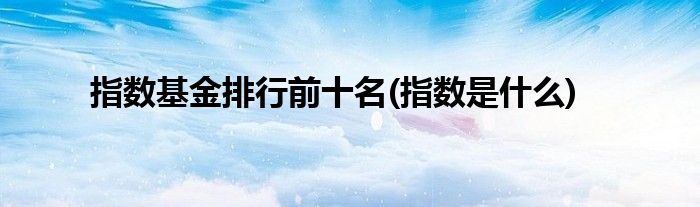 指数基金排行前十名(指数是什么)