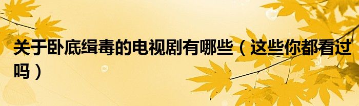 关于卧底缉毒的电视剧有哪些(这些你都看过吗)