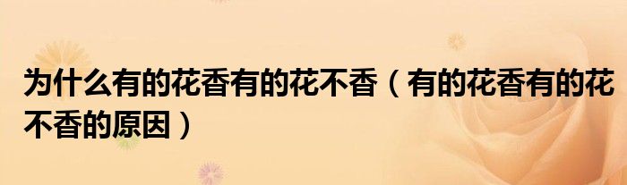 为什么有的花香有的花不香(有的花香有的花不香的原因)