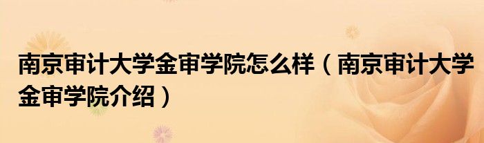 南京审计大学金审学院怎么样(南京审计大学金审学院介绍)