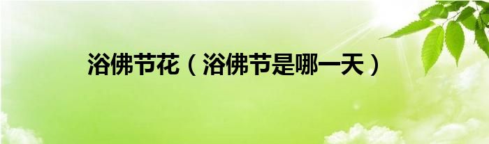浴佛节花(浴佛节是哪一天)