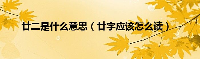廿二是什么意思(廿字应该怎么读)