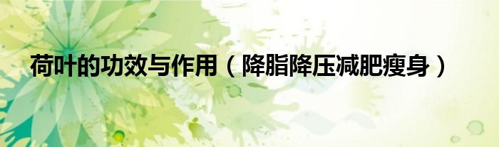 荷叶的功效与作用(降脂降压减肥瘦身)