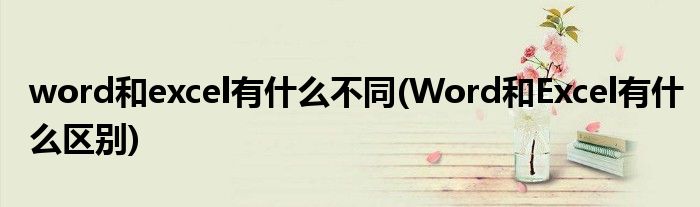 word和excel有什么不同(Word和Excel有什么区别)