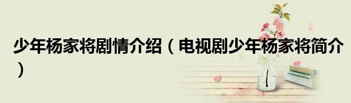 少年杨家将剧情介绍(电视剧少年杨家将简介)