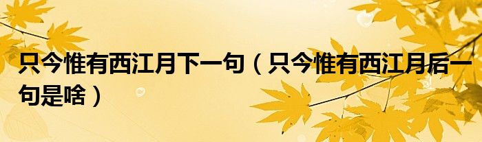 只今惟有西江月下一句(只今惟有西江月后一句是啥)