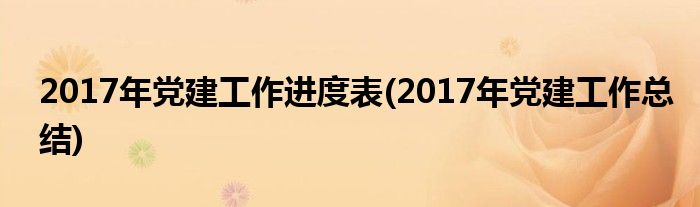 2017年党建工作进度表(2017年党建工作总结)