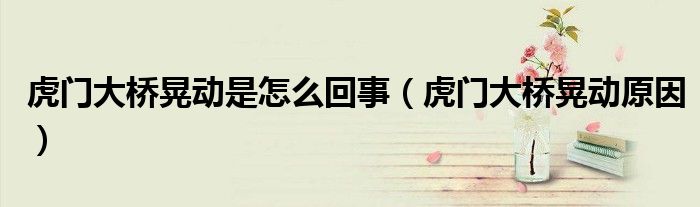 虎门大桥晃动是怎么回事(虎门大桥晃动原因)