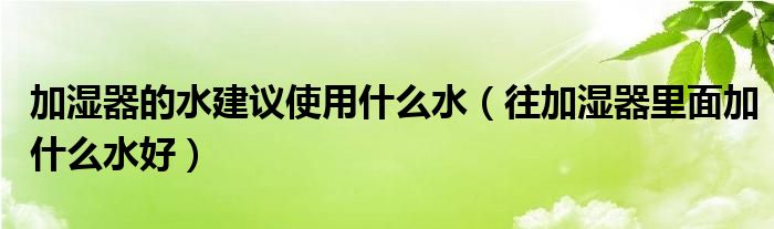 加湿器的水建议使用什么水(往加湿器里面加什么水好)