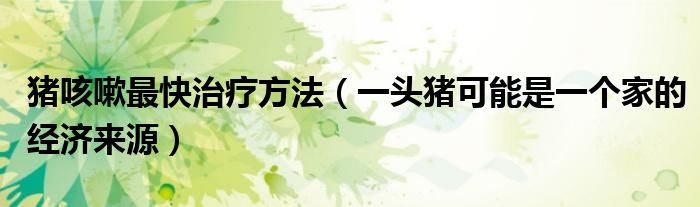 猪咳嗽最快治疗方法(一头猪可能是一个家的经济来源)