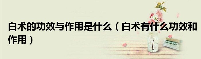 白术的功效与作用是什么(白术有什么功效和作用)