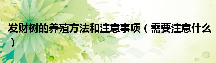 发财树的养殖方法和注意事项(需要注意什么)