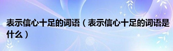 表示信心十足的词语(表示信心十足的词语是什么)