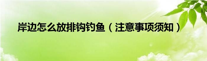 岸边怎么放排钩钓鱼(注意事项须知)