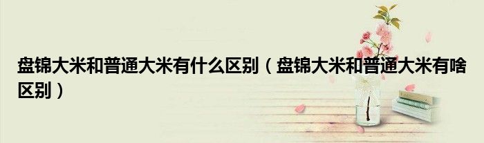 盘锦大米和普通大米有什么区别(盘锦大米和普通大米有啥区别)