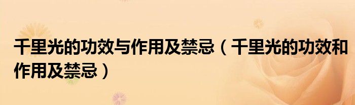 千里光的功效与作用及禁忌(千里光的功效和作用及禁忌)