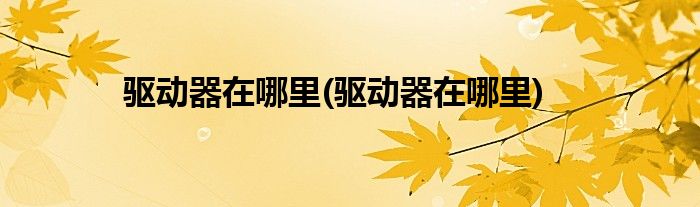驱动器在哪里(驱动器在哪里)