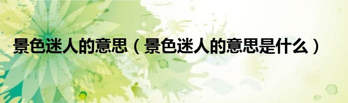 景色迷人的意思(景色迷人的意思是什么)