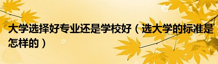 大学选择好专业还是学校好(选大学的标准是怎样的)
