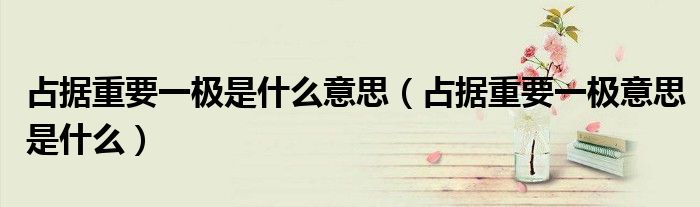 占据重要一极是什么意思(占据重要一极意思是什么)