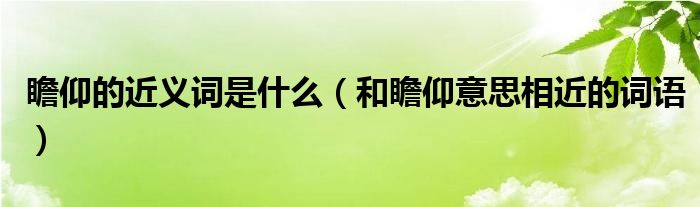 瞻仰的近义词是什么(和瞻仰意思相近的词语)