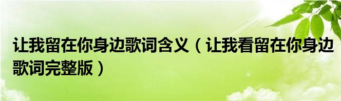 让我留在你身边歌词含义(让我看留在你身边歌词完整版)