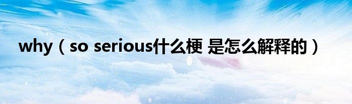 why(so serious什么梗 是怎么解释的)