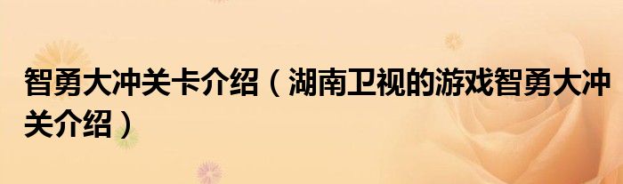 智勇大冲关卡介绍(湖南卫视的游戏智勇大冲关介绍)