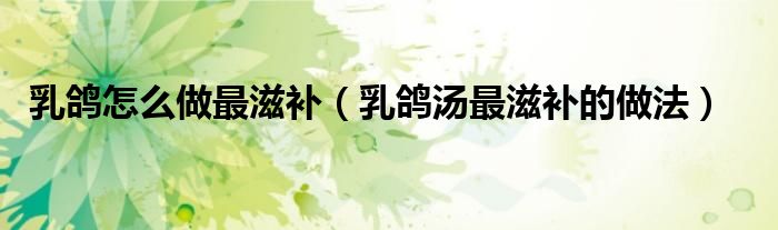 乳鸽怎么做最滋补(乳鸽汤最滋补的做法)