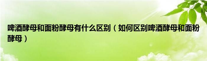 啤酒酵母和面粉酵母有什么区别(如何区别啤酒酵母和面粉酵母)