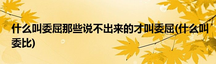 什么叫委屈那些说不出来的才叫委屈(什么叫委比)