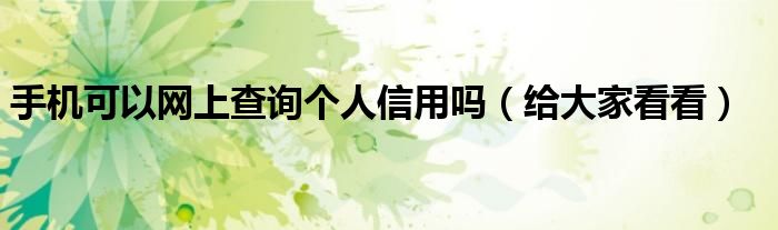 手机可以网上查询个人信用吗(给大家看看)