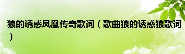 狼的诱惑凤凰传奇歌词(歌曲狼的诱惑狼歌词)