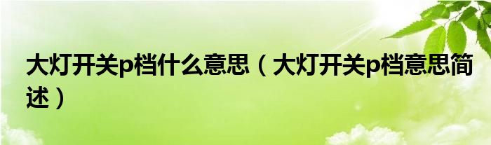大灯开关p档什么意思(大灯开关p档意思简述)