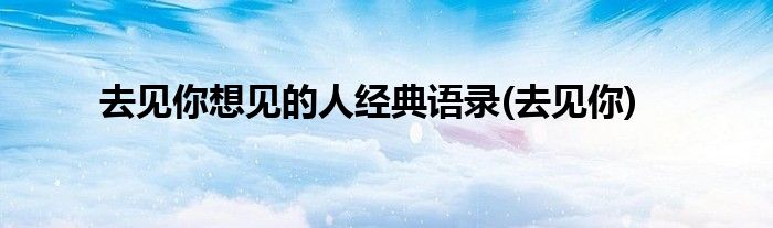 去见你想见的人经典语录(去见你)