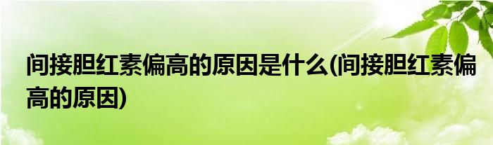 间接胆红素偏高的原因是什么(间接胆红素偏高的原因)
