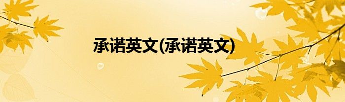 承诺英文(承诺英文)