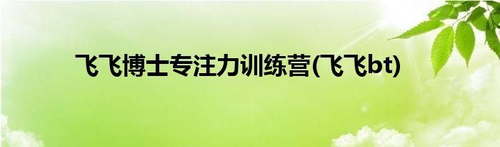 飞飞博士专注力训练营(飞飞bt)