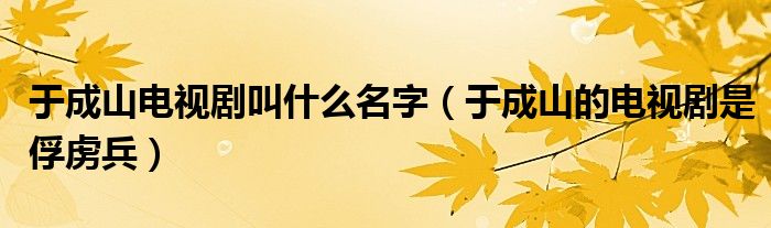 于成山电视剧叫什么名字(于成山的电视剧是俘虏兵)