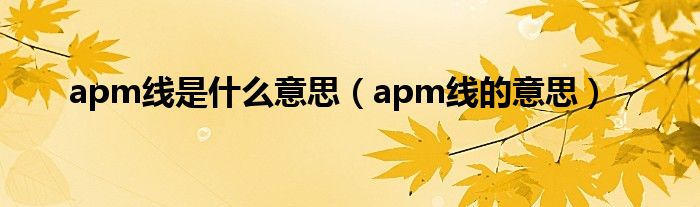 apm线是什么意思(apm线的意思)