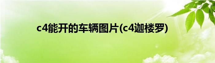 c4能开的车辆图片(c4迦楼罗)