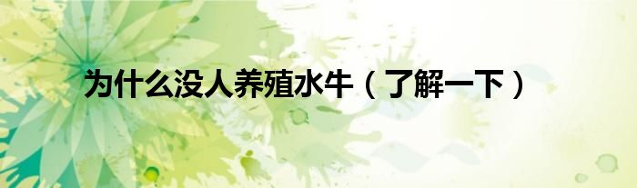 为什么没人养殖水牛(了解一下)