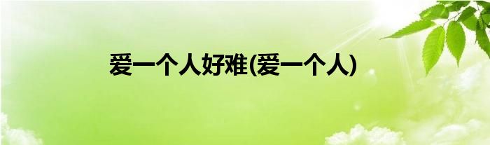 爱一个人好难(爱一个人)