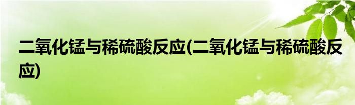 二氧化锰与稀硫酸反应(二氧化锰与稀硫酸反应)