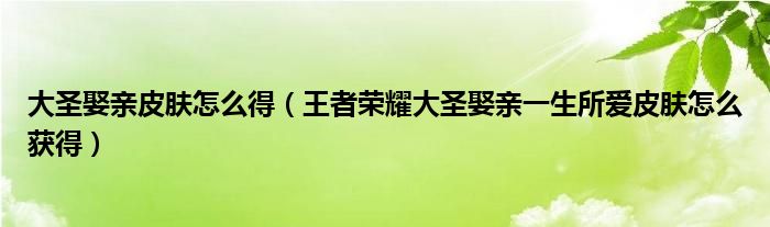 大圣娶亲皮肤怎么得(王者荣耀大圣娶亲一生所爱皮肤怎么获得)